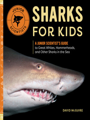cover image of Sharks for Kids